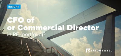 CFO or Commercial Director in PE (portfolio)? CFO or Commercial Director in PE (portfolio)?