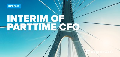 Interim of Parttime CFO?
